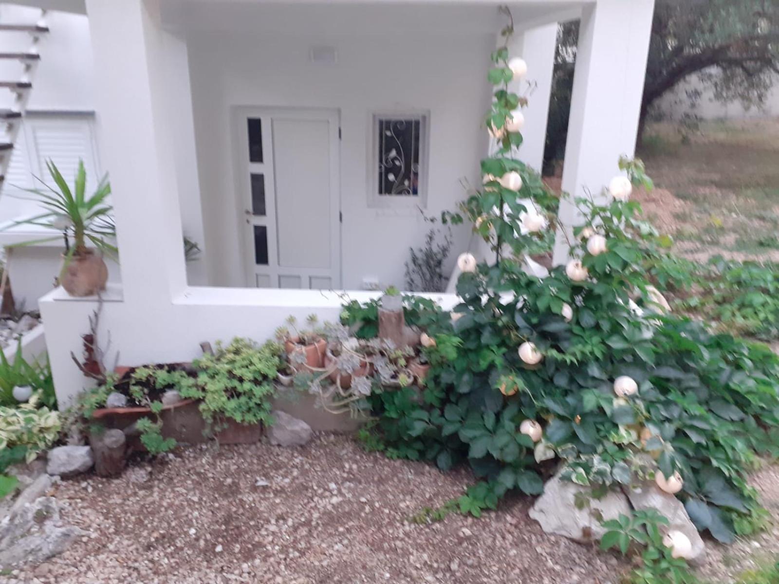 Villa Ana Makarska Rum bild